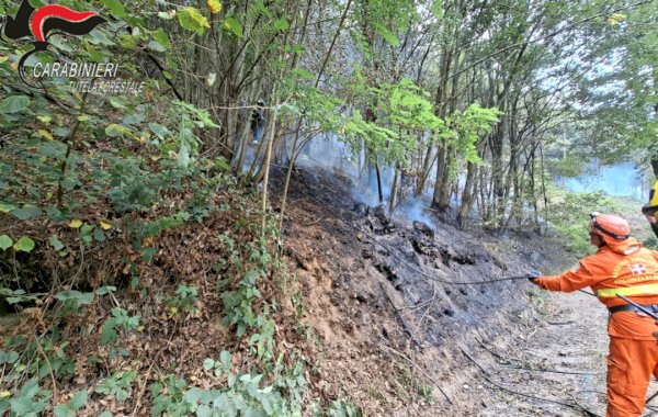 Intervento in un bosco nella fotografia pubblicata dal SIM Carabinieri